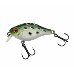 Vobler Berkley Pulse Fly Shalow 3.8cm/4.5g, culoare Frog