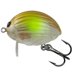 Vobler Salmo Lil Bug 2cm/2.8g, culoare Clear Ayu