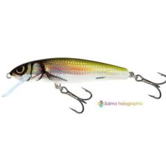 Vobler Salmo Minnow M6F HBL