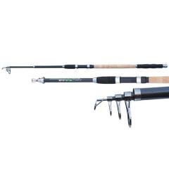 Lanseta Carp Zoom Action N Tele Carp 2.70m/50-100g