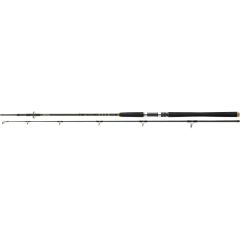 Lanseta Daiwa BG Offshore Boat 2.40m/150-400g