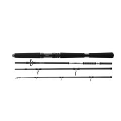 Lanseta Daiwa BG Offshore Travel 2.40m/50-200g