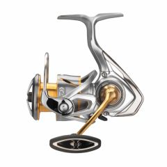 Mulineta Daiwa Freams LT 4000C