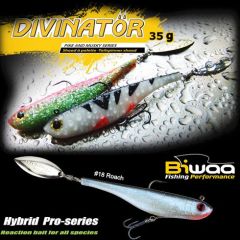 Shad Biwaa Divinator Medium 18cm/35g, culoare Roach