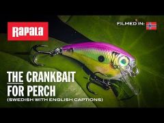 Vobler Rapala BX Brat Big 06 7cm/21g, culoare CBN