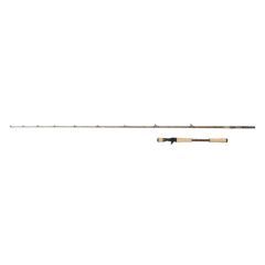 Lanseta Abu Garcia Beast Pro2 802H Casting 2.44m/30-110g

