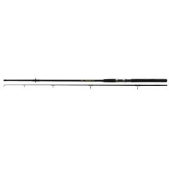 Lanseta Nevis Windstorm Catfish 3.00m/50-100g