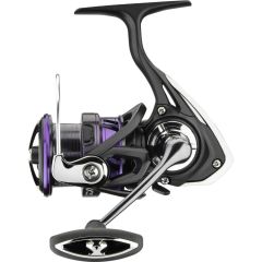 daiwa prorex mulineta spinning