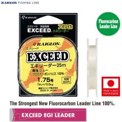 Fir fluorocarbon Raiglon Exceed Egi Leader 0.205mm/3kg/35m