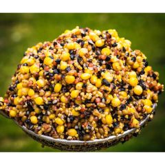 Seminte preparate Wild Carp Gold Mix 2kg