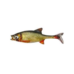 Shad Fast Strike Roach Shad 8cm/5g, culoare RGR