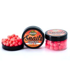 Wafters Bucovina Baits Snails Capsuna, 8mm, 20g