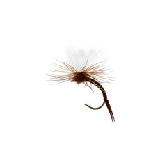 Set muste Unique Flies Aurivilli Emerger Quill Brown TMC212TR Nr.13 - 3buc/plic