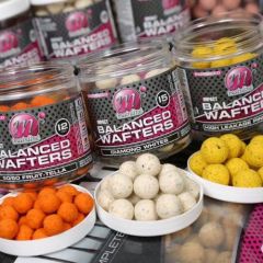 Boilies Mainline High Impact Balanced Wafters Spicy Crab 12mm