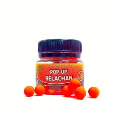 Pop-Up Belachan 8mm