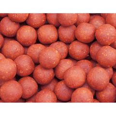 Boilies Pro Line Squid and Plum 5kg, 20mm