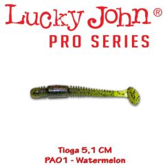 Shad Lucky John Tioga 5.1 cm, culoare Watermelon - 10 buc/plic